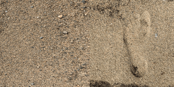 Sacred Machines 002 Insert Front CMYK [Converted]